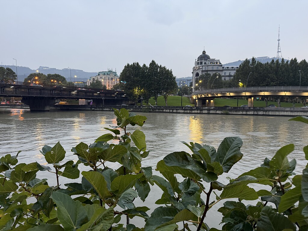 Ausblick auf die Kura und zwei Brücken in Tiflis, Georgien. Vorne im Bild ist ein Feigenbaum am Ufer
