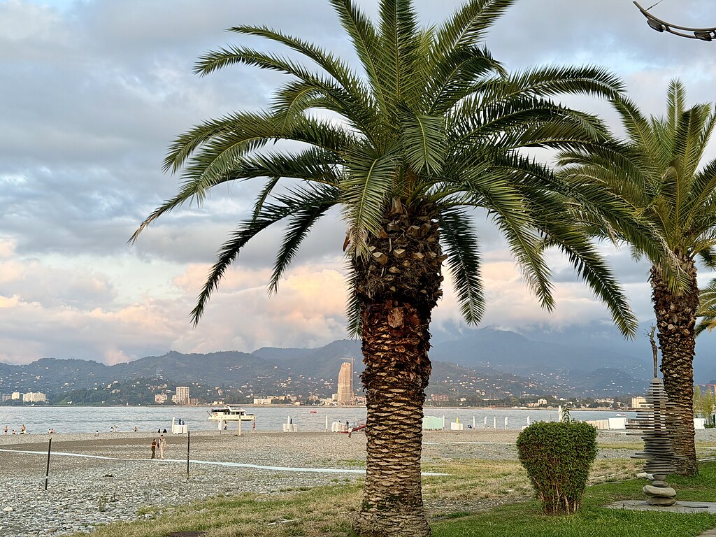 Palmen am Strand mit Steinen am Schwarzen Meer in Batumi, Georgien mit Bergpanorama.