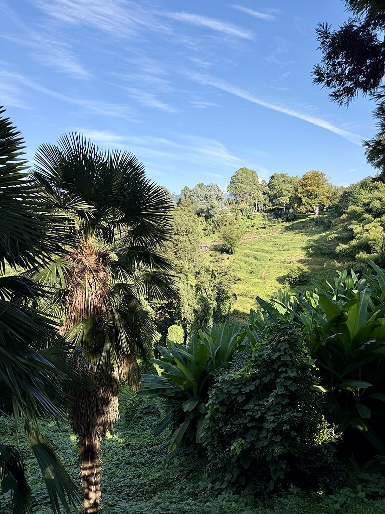 Botanischer Garten Batumi, Georgien