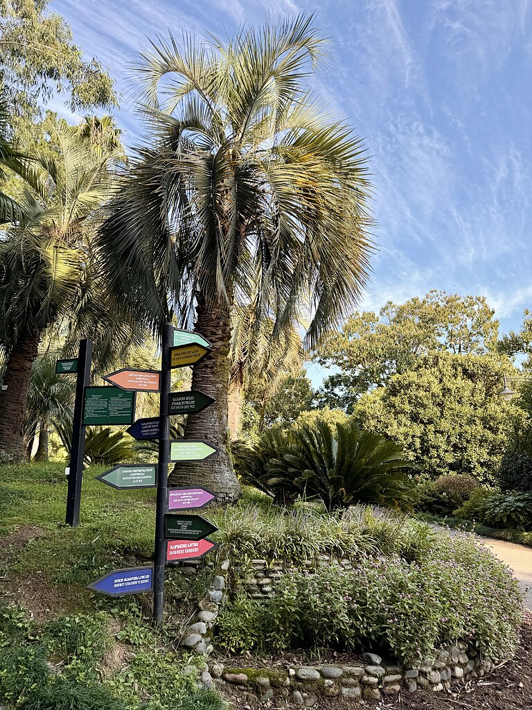 Botanischer Garten Batumi, Georgien