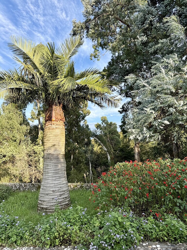 Botanischer Garten Batumi, Georgien