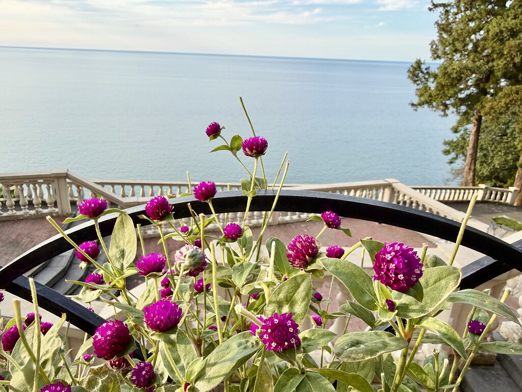 Ausblick aus dem Botanischen Garten in Batumi auf das Schwarze Meer, Georgien