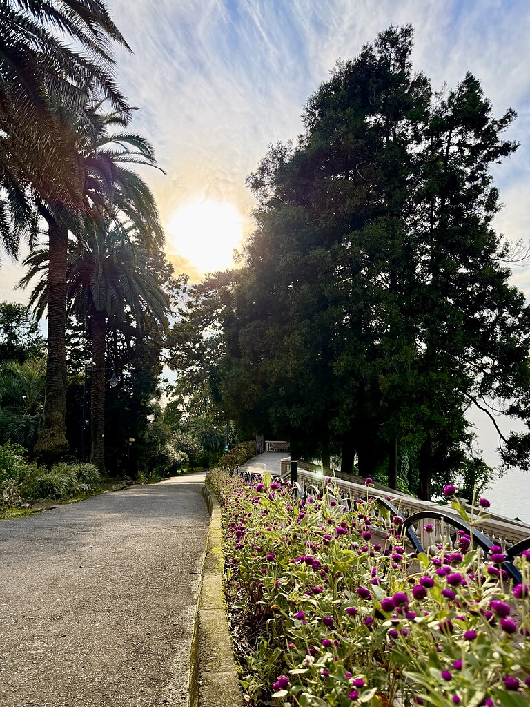 Botanischer Garten in Batumi, neben dem Schwarzen Meer, Georgien